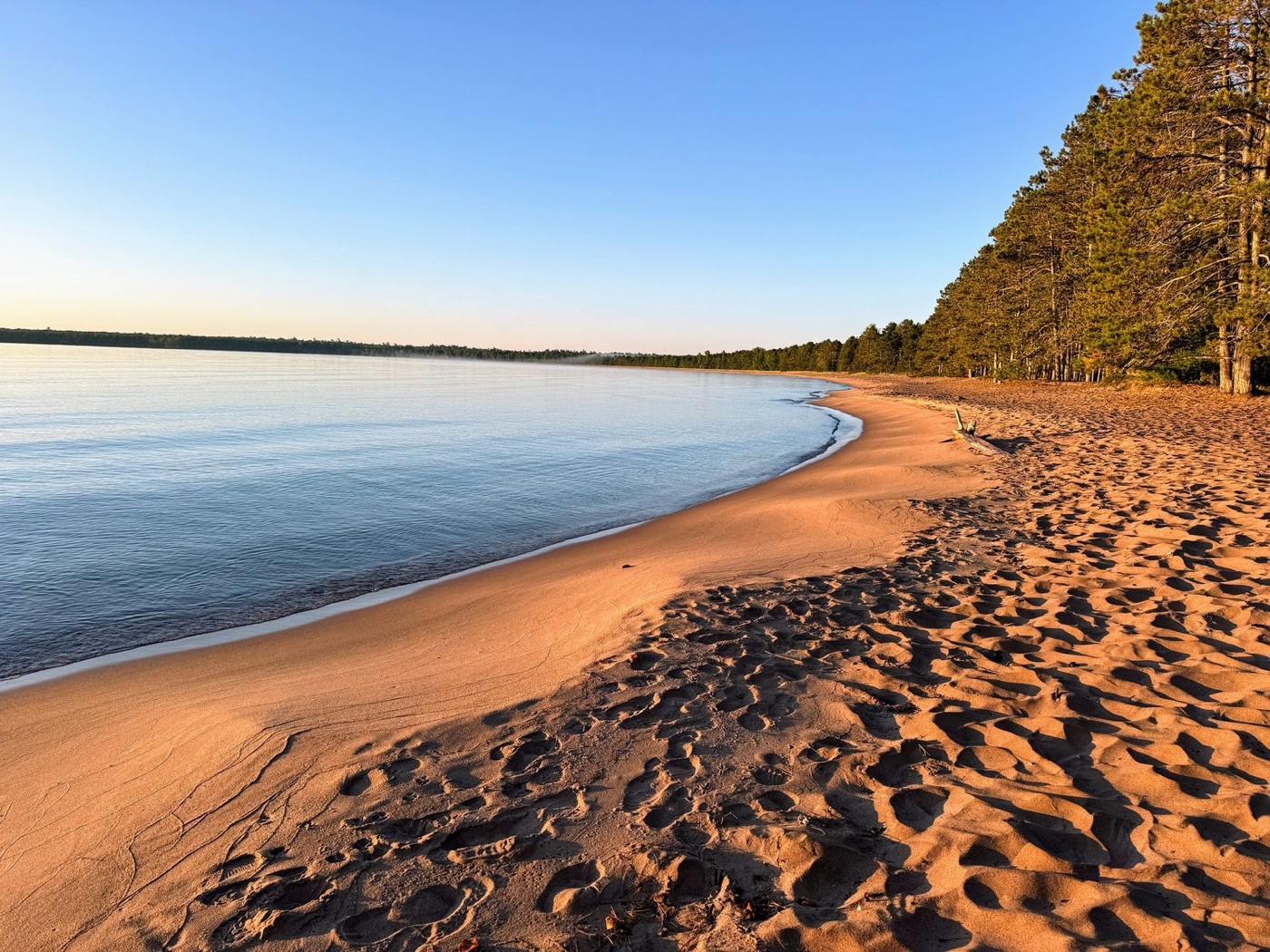 Golden morning light on an empty sand beach lined with pines on Madeline Island
